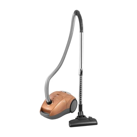 Hoover se sáčkem ZVC362 Slawek