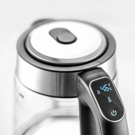 Electric kettle with temperature control ZCK8033