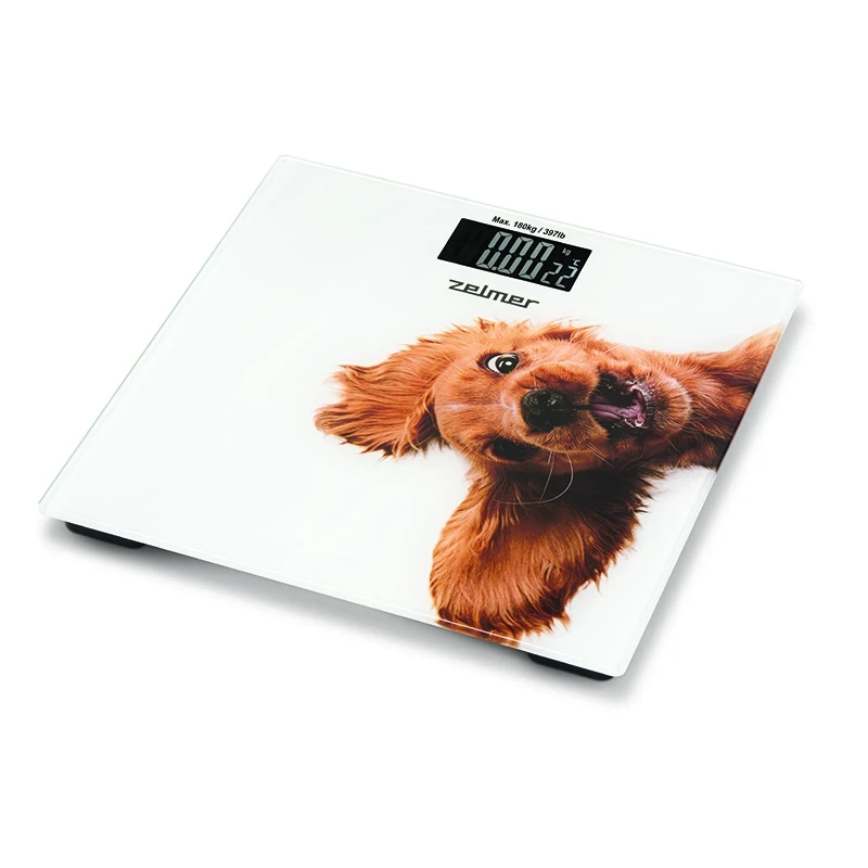 Bathroom scale ZBS1010 Bathroom scale ZBS1010