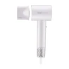 Professional hair dryer ZHD9001 Pro Elegance