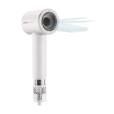 Professional hair dryer ZHD9001 Pro Elegance
