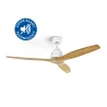 Stropní ventilátor ZCF5600