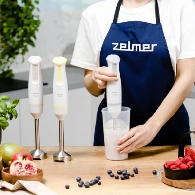 ZHB4561S Pulsar Deluxe Hand Blender