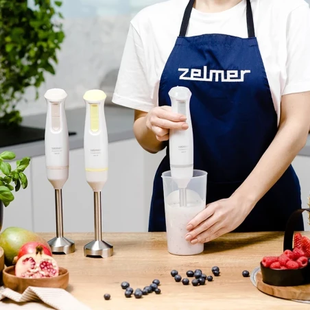 ZHB4561S Pulsar Deluxe Hand Blender
