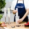 ZHB4561S Pulsar Deluxe Hand Blender