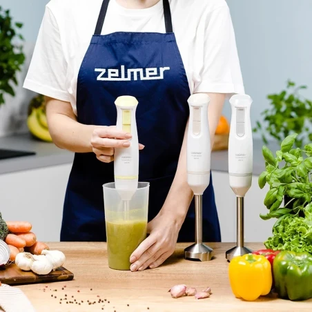 ZHB4561S Pulsar Deluxe Hand Blender