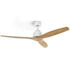 Ceiling fans